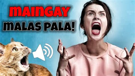Wagka maingay kunware hindi mo nakita, mahilig kase talaga ko .